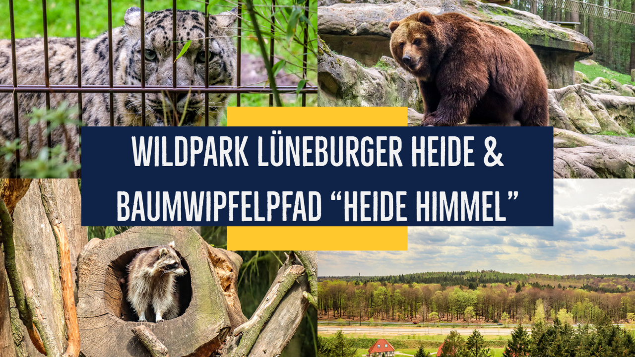 Wild-Park Lüneburger Heide & Baumwipfelpfad ＂Heide Himmel＂ - Unterwegs in Niedersachsen
