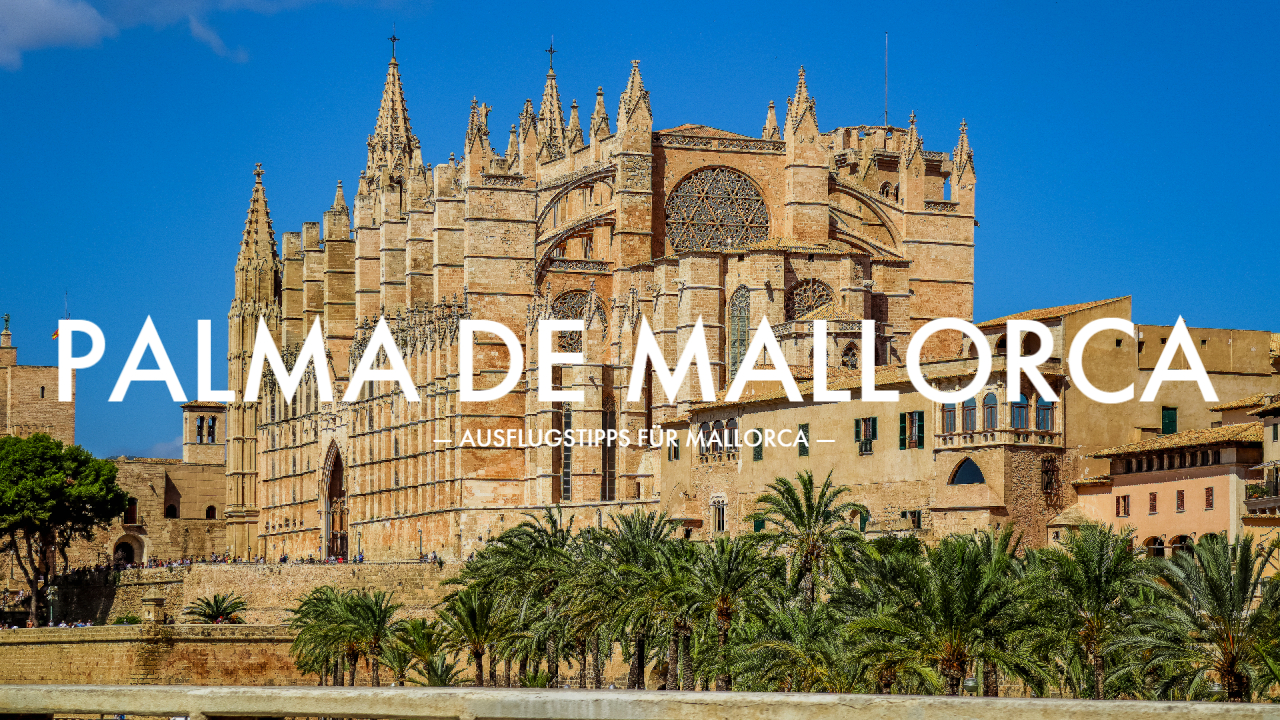 Palma de Mallorca mit ＂La Seu＂ und Mercat de l’Olivar